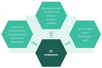 Effects of E-Cigarette Exposure on Prenatal Life and Childhood Respiratory Health: A Review of Current Evidence